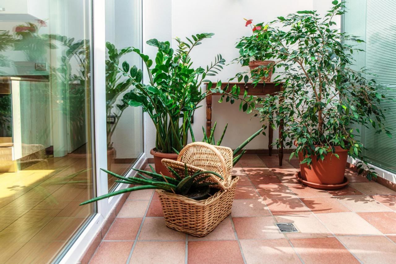 Castello Di Brusata Apartment By Quokka 360 - Romantic Flat With Pool Mendrisio Exterior photo